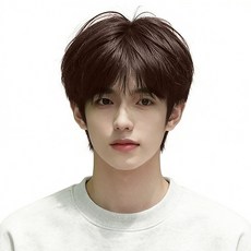 뷔이위이 가발 남성 단발머리 트렌디한 통가발, 1개, 브라운
