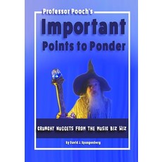 (영문도서) Important Points to Ponder: Crunchy Nuggets from the Music Biz Wiz Paperback, Independently Published, English, 9781086720167