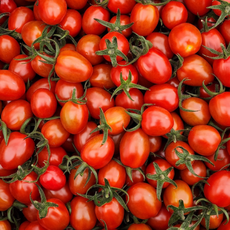 건달마토 건강하고 달콤한 스테비아 대추방울 토마토 4개 500g, 1개, 2kg