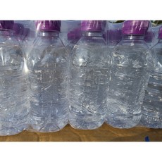 몽베스트 생수, 330ml, 40개