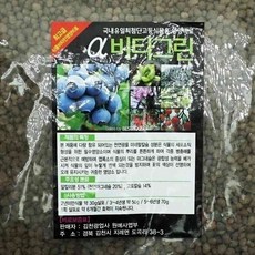 원포 블루베리 비타그린 뿌리영양제, 1개