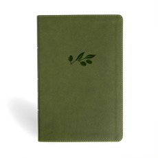 (英文圖書)NASB Giant Print Reference Bible Olive Leathertouch Indexed Imitation Leather, Holman Bible Publishers, 英文, 人造皮革