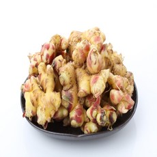 일등농수산 25년 경북 정품 햇생강, 1개, 1kg (세척 특품)