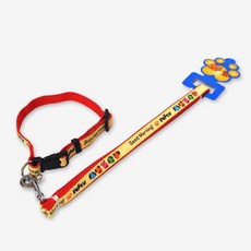 강아지목줄 댕댕이목줄 패티목줄세트 15mm 색상랜덤 애견용품 애완용품 산책줄 강아지 목줄 dew+1465Fu