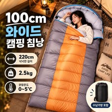 캠핑 침낭 사계절 공용 2.5kg 방수 야외 침낭 동계 이불 초대형공간 휴대용 압축 침낭 + 수납가방