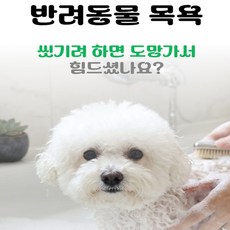 [데일로] 강아지 샤워 목줄 흡착식목줄