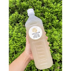 진천농다리 전통 수제식혜 엿기름 밥알 감주, 10개, 1L