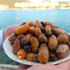 [시원농수산]제철 생물 깐 미더덕 500g 참 미더덕 회, 1개, 깐미더덕500g x