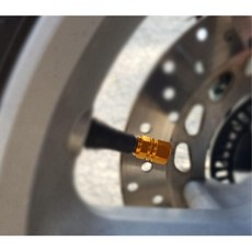 타이어튜닝 오토바이 휠 밸브캡 2개 외관 신형 스틸마개 뚜껑 꾸미기 컬러, 골드, 1개