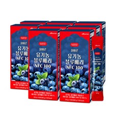 [본사정품]올바른 유기농 블루베리즙 NFC 착즙액 100% 14포, 8박스, 20g