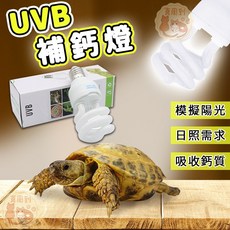 UVB補鈣燈 UVB太陽光 紫外光燈 爬蟲燈 陸龜 蜥蜴 模擬陽光, 1個, 白光－13W【UVB_5.0燈泡】