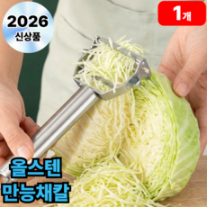 큐로닉 스틸컷 양배추 다용도 채칼 슬라이서, 티타늄 실버, 1개