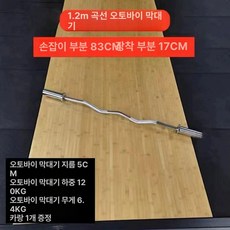 홈트 숏 바벨바 짧은 웨이트 중량봉 운동 원판 암컬바, 1개, 1g