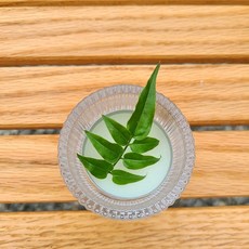 맨발의농부 자스민 생잎 베이커리 데코용 학자스민 생잎, 30개