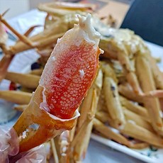 러시아 박달대게 자숙 러시아 청정 해역 조업후 국내 동해항 입고 산지직송 2kg 1개