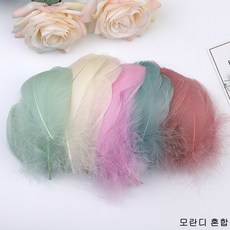 드림캐쳐 DIY 공예용 거위 깃털, 모란디혼합