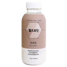웰프로틴 코코넛 40g, 1개