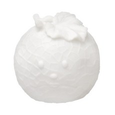 3D 색칠놀이 달콤 프루츠 (메론) 물감별도