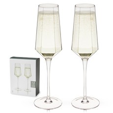 비스키 세네카 스템드 크리스탈 샴페인잔, 2개입, 266ml