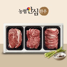 [작심밀도]농협안심한우 1++ 등심200g + 채끝200g + 차돌박이200g / 냉장, 1
