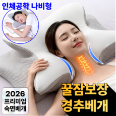 루덴느 넥케어3.0 인체공학 나비형 경추베개, 1개, 컴포트그레이