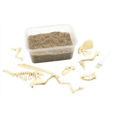 공룡 골격 발굴 키트 화석 생성 이해 과학 학습 교구1인용 과학놀이 만들기세트 관찰, 1개