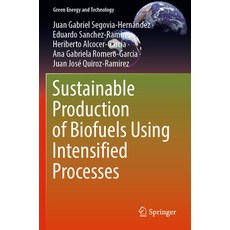 (영문도서) Sustainable Production of Biofuels Using Intensified Processes Paperback, Springer, English, 9783031132186