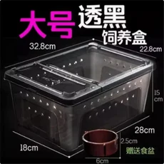 파충류 사육 상자 탈출 방지 이중문 수생용 소형 중형 대형 거미 및 애호가용 할로윈 선물, 02 L