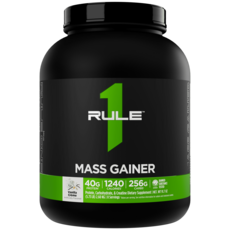 Rule1 룰원 매스게이너 바닐라크림 2.6kg, 1개