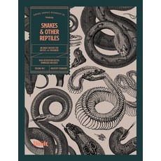 (영문도서) Snakes and Other Reptiles Paperback, Vault Editions Ltd, English, 9781925968880
