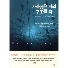 가라앉은 자와 구조된 자