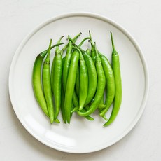 늘바른 국산 친환경 무농약 청양고추100g 2봉, 단품, 단품