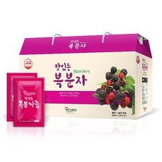 해담은베리 맛있는 복분자(90%), 3.2L, 1개, 40개