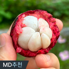 삼시세끼연구소 열대과일의 여왕 생 망고스틴 생과 태국 항공직수입, 1박스, 1kg
