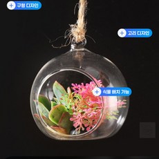 승연이의 추천 스토어 식물 인테리어 테라리움 투명볼 5쌍 식물재배기, 8cm