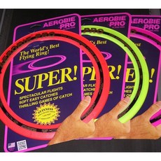 Aerobie Pro 星際戰艦飛盤 33cm 大型迴力飛盤，適合親子訓練比賽, 1個