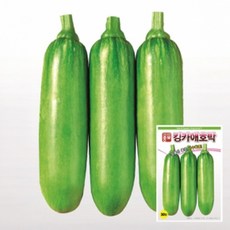 30립 호박씨앗 킹카애호박, 1개