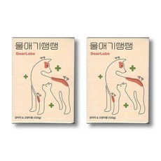 디어랩스 강아지 울애기쌩쌩 노견 눈 피부 관절 면역 장 종합영양제, 60정, 2개