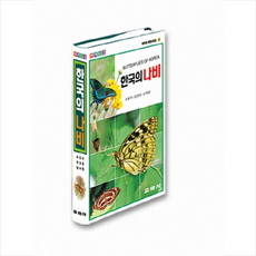 한국의 나비, 주흥재 외, 단품없음