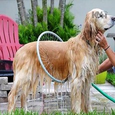 반려견 샤워기 애견, 1개, 그레이