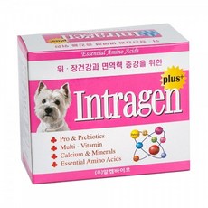 인트라젠 플러스 유산균 30개입 강아지유산균, 장건강/유산균, 2개