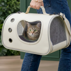 픽센트 삼면통풍 넓은입구 강아지 고양이 이동장, 1개, 베이지