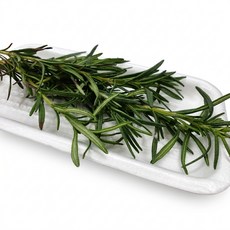 야채왕 로즈마리 1팩 10g 허브 생잎, 1개