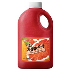 흥국 냉장 자몽 농축액 1.5L, 1개