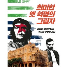 희미한 옛 혁명의 그림자:태양이 비껴간 나라 멕시코 쿠바를 가다, 들녘, 임영태 저
