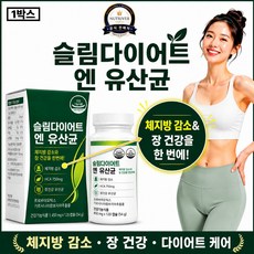 비에날씬 BNR17유산균 다이어트 유산균 비에날17유산균 12박스 구매시 증정 / 체지방감소 배변활동 장건강 중년 뱃살 팔뚝살 슬림 다이어트 유산균 뉴트리베른, 1개, 120정