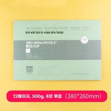 수채화지 아티스트 수채화 바오홍 세트 전문가용 종이 용지 중목, 1개, O. 8K 300g 12장