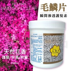 愛美髮品 毛鱗片護髮素 - 正常/乾性/受損髮質適用 修護毛躁 滋潤恢復彈性, 1個, 1L
