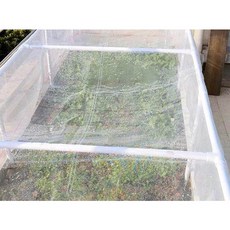 蔬菜大棚防蟲網 養豬場防蚊防蠅網 果園植物花卉防蟲網罩 庭院防柳絮白網 養殖池塘圍網 現貨超低價, 2.5米寬*10米長  (60目)