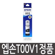 엡손 잉크 T00V100, 검정, 1개